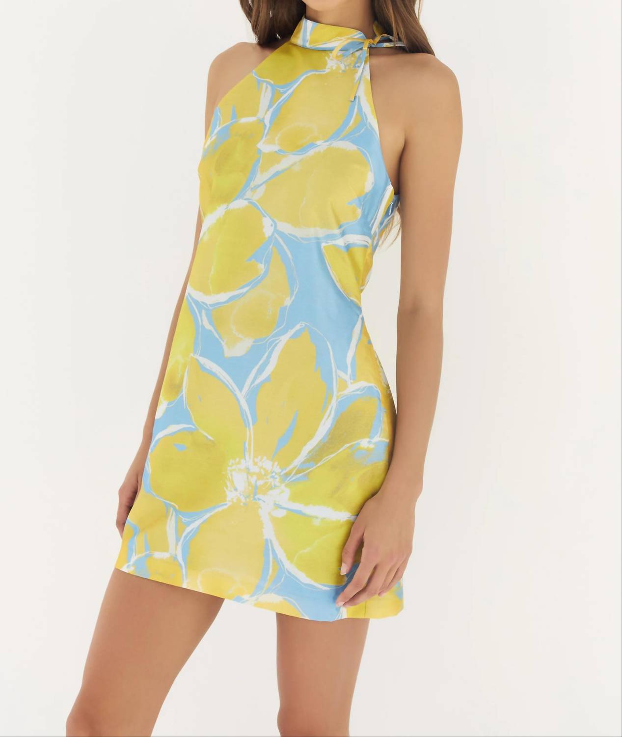 Hutch - Nami Sleeveless Mini Dress